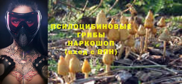 молекула духа Алзамай