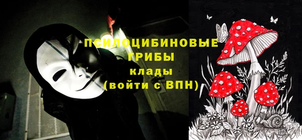 молекула духа Алзамай