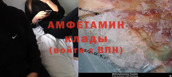 молекула духа Алзамай