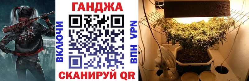 Канабис AK-47  купить наркоту  Гдов 